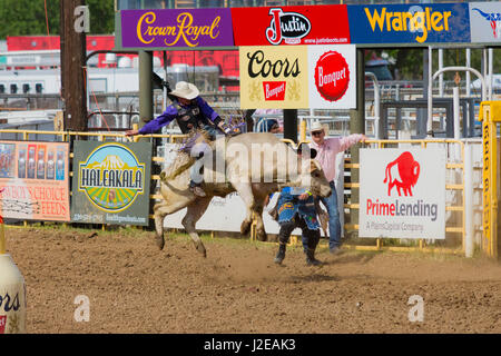 2017 Roundup rodeo Red Bluff Banque D'Images