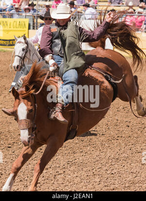 2017 Roundup rodeo Red Bluff Banque D'Images