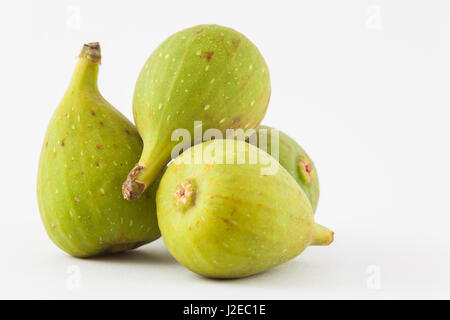 Fig commun (Ficus carica) isolés dans l'arrière-plan blanc Banque D'Images