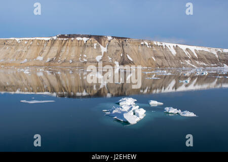 La Norvège, mer de Barents, Svalbard, nordaustlandet. palanderbukta (palander bay). calme réflexions fjord. Banque D'Images