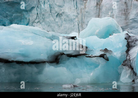 La Norvège. Svalbard. Le Spitzberg. Hornsund. Brepollen. Banque D'Images