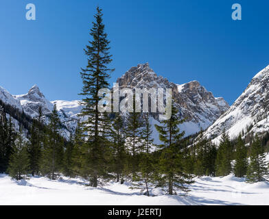 (Innerfeldtal la vallée Val di dentro) dans les Dolomites de Sexten, partie du patrimoine mondial de l'hiver profond dans les Dolomites. Mont Morgenkopf (Monte Mattina). L'Italie, mars (grand format formats disponibles) Banque D'Images