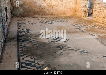 Sol de mosaïque, la maison de l'Cryptoportique, naturaliste du parc archéologique de Vulci, ville étrusque, Province de Viterbe, Latium, Italie Banque D'Images