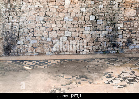 Sol de mosaïque, la maison de l'Cryptoportique, naturaliste du parc archéologique de Vulci, ville étrusque, Province de Viterbe, Latium, Italie Banque D'Images