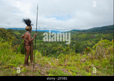 Habillés de couleurs vives chef tribal local dans les hautes terres de la Papouasie-Nouvelle-Guinée, la Mélanésie Banque D'Images