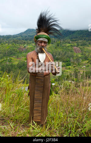 Habillés de couleurs vives chef tribal local dans les hautes terres de la Papouasie-Nouvelle-Guinée, la Mélanésie Banque D'Images