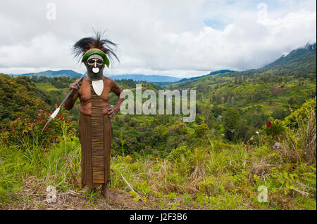 Habillés de couleurs vives chef tribal local dans les hautes terres de la Papouasie-Nouvelle-Guinée, la Mélanésie Banque D'Images