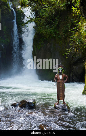 Habillés de couleurs vives et peint chef tribal local se tient devant une chute d'eau dans les hautes terres de la Papouasie-Nouvelle-Guinée, la Mélanésie Banque D'Images