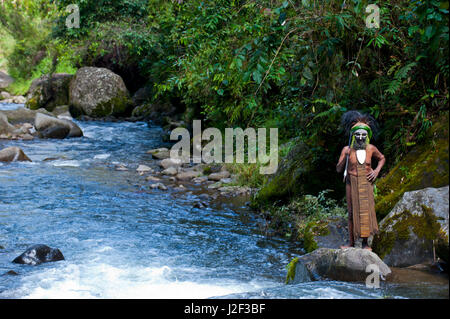 Habillés de couleurs vives et peint chef tribal local se tient devant une chute d'eau dans les hautes terres de la Papouasie-Nouvelle-Guinée, la Mélanésie Banque D'Images