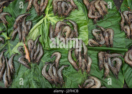 Gambas à la vente, le marché de l'alimentation de la mer Suva Suva, Fidji, Viti Levu. Banque D'Images