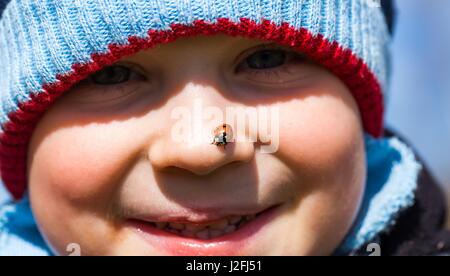 Baby Boy face avec coccinelle. Coccinelle bébé garçon assis sur le nez. Portrait garçon Banque D'Images