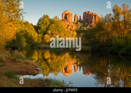 Coucher du soleil, des reflets, chêne, Crek Cathedral Rock, Red Rock Crossing, Crescent Moon Recreation Area, Sedona, Arizona, USA Banque D'Images