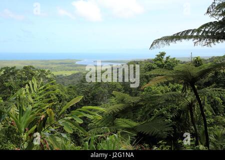 Mont Alexandra lookout à Cape Tribulation, parc national de Daintree, Queensland du nord, Australie avec vue sur l'embouchure de la rivière Daintree Banque D'Images