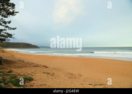 Palm Beach sur les plages du nord de Sydney. Banque D'Images