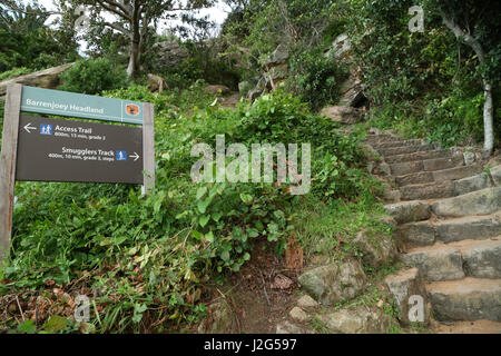 Une piste de marche à Barrenjoey pointe en bande Ku-ring-gai Chase National Park, Sydney, Australie. Banque D'Images