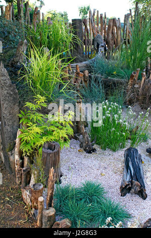 Un jardin de bord de mer relaxant avec 'Dichromena colorata' floraison parmi les herbes et les bois flotté récupéré Banque D'Images