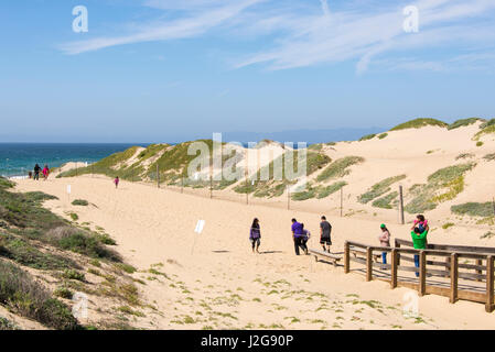 États-unis, Californie, Oso Flaco State Park, qui fait partie d'Oceano Dunes (construite par des véhicules de l'État Recreation Area) chemin donne accès à San Luis Bay, l'Océan Pacifique Banque D'Images