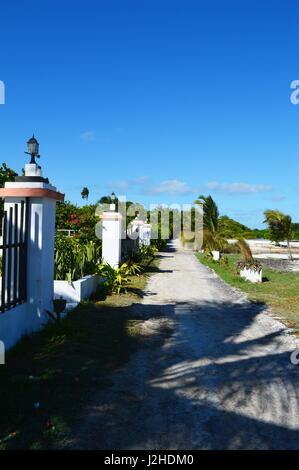 Petit chemin avec des palmiers et des plantes sur une île des Caraïbes, Caye Caulker, Belize Banque D'Images
