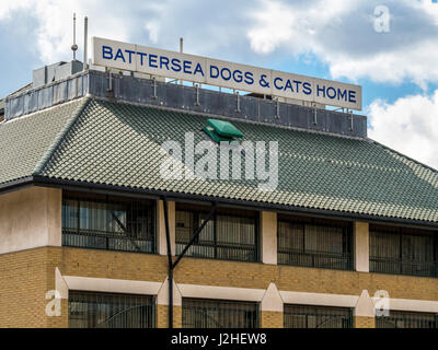 Battersea Dogs and Cats Home, Londres, Royaume-Uni. Banque D'Images