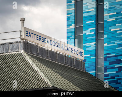 Battersea Dogs and Cats Home, Londres, Royaume-Uni. Banque D'Images
