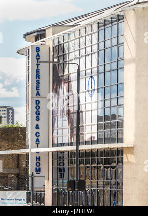 Battersea Dogs and Cats Home, Londres, Royaume-Uni. Banque D'Images