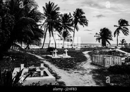 Cimetière avec palmiers sur une île des Caraïbes, Caye Caulker, Belize Banque D'Images