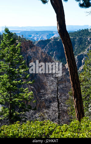 USA, Utah, Boulder, Escalante, Box-Death sauvage creux, Vistas de Creek-Hell Pin's routes Backbone (grand format formats disponibles) Banque D'Images