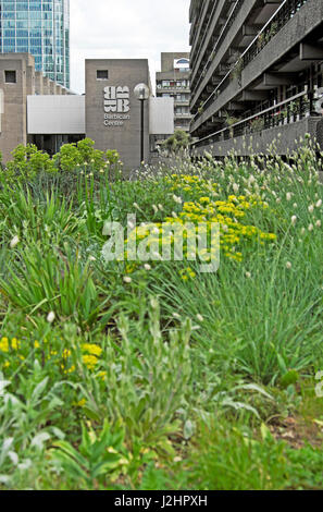 Avis de Barbican Centre signe par les plantes croissant dans le Nigel Dunnett jardin au printemps sur le Barbican Estate à Londres EC2Y UK KATHY DEWITT Banque D'Images