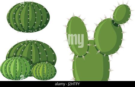 Trois types de cactus illustration Illustration de Vecteur
