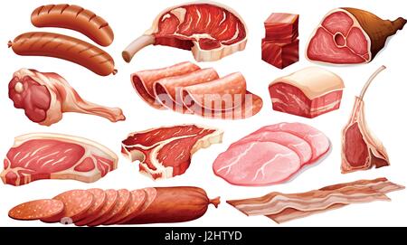Différents types de viande produits illustration Illustration de Vecteur