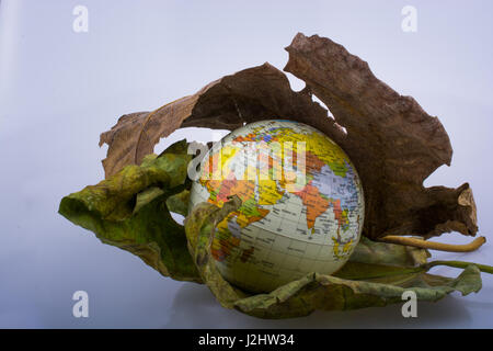 Petit modèle globe placé entre deux grandes feuilles d'automne Banque D'Images