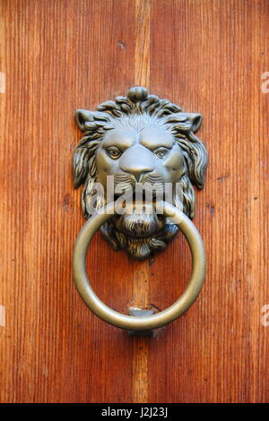 Tête de lion en bronze knocker sur une porte en bois Banque D'Images