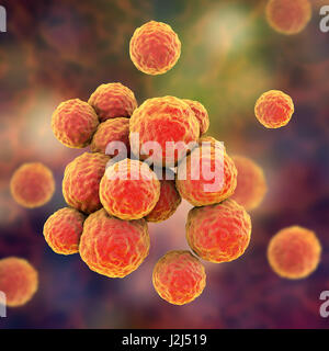Les bactéries SARM. L'oeuvre de l'ordinateur de Staphylococcus aureus résistant à la méthicilline (SARM) bactéries. Banque D'Images