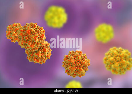 Les particules parvovirus, ordinateur illustration. Le modèle moléculaire montrant la structure de la protéine de capside (extérieur) d'une famille des Parvoviridae Parvovirus (particules). Virus : la plus petite parvoviridés les virus connus et certains des plus enviro Banque D'Images