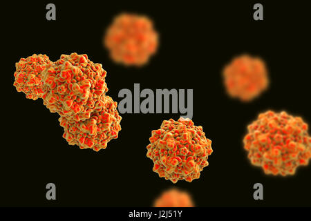 Les particules parvovirus, ordinateur illustration. Le modèle moléculaire montrant la structure de la protéine de capside (extérieur) d'une famille des Parvoviridae Parvovirus (particules). Virus : la plus petite parvoviridés les virus connus et certains des plus enviro Banque D'Images