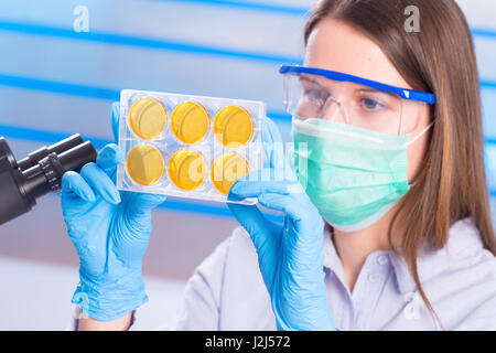 Female scientist wearing mask examinant des échantillons. Banque D'Images