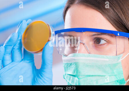 Female scientist wearing mask et lunettes de l'examen de la boîte de pétri. Banque D'Images