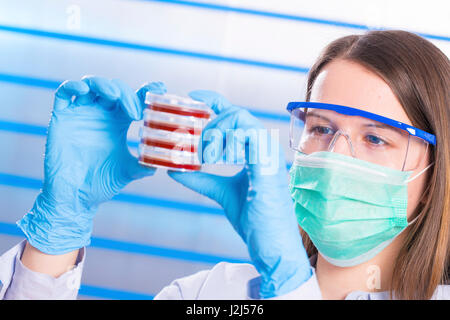 Female scientist wearing mask et lunettes l'examen des boîtes de Pétri. Banque D'Images