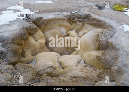 Printemps Shell, Biscuit geyser Basin, Upper Geyser Basin, fumerolle, activité géothermique, l'édifice volcanique, Hot spring, le Parc National de Yellowstone, Wyomin Banque D'Images