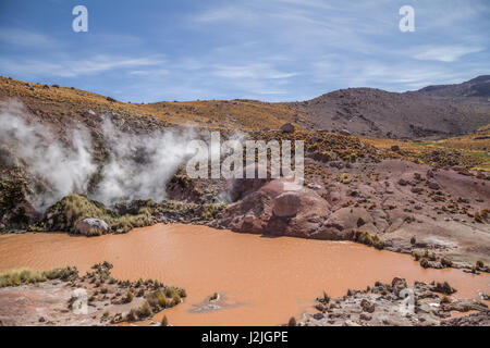 Piscines d'eau chaude près de El Tatio geyser, un champ dans les Andes du nord du Chili à une altitude de 4 320 mètres et près de la frontière avec la Bolivie Banque D'Images