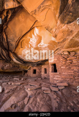 Dans des ruines indiennes Road Canyon, Cedar Mesa, Utah. Oreilles ours National Monument. Banque D'Images