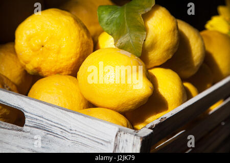 Panier de citrons frais sur la Côte d'Amalfi, Italie Banque D'Images