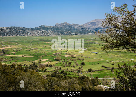 Plateau de Lassithi, Crète Montagnes Dikti. Banque D'Images