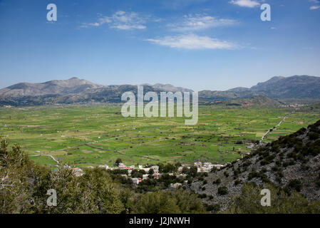 Plateau de Lassithi, Crète Montagnes Dikti. Banque D'Images