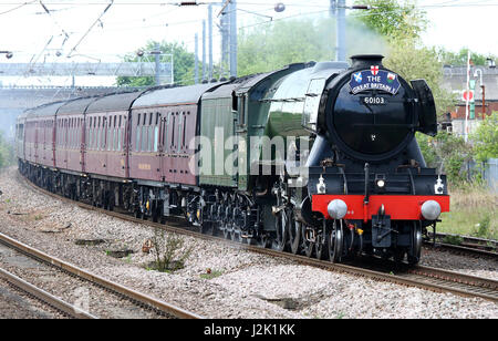 Bedfordshire, Royaume-Uni. Apr 29, 2017. Le légendaire "The Flying Scotsman' tire le train à vapeur "La Grande-Bretagne X' Round Britain Railtour (jour 1 de 9) par vers le nord à partir de Bedfordshire London Kings Cross vers New York. Samedi 29 avril 2017 Credit : KEITH MAYHEW/Alamy Live News Banque D'Images