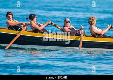 Îles Scilly, au Royaume-Uni. Apr 28, 2017. Kensa gagnants au cours de leur race. Credit : Ed Marshall/Alamy Live News Banque D'Images