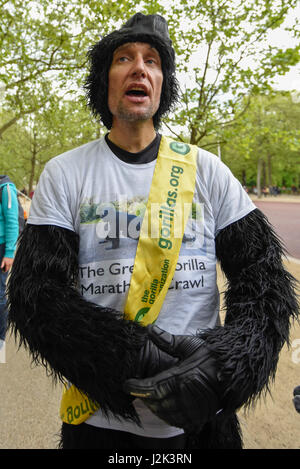 Londres, Royaume-Uni. 29 avril 2017. Agent de police a rencontré Tom Harrison, 41, connu sous le nom de 'Mr Gorilla', célèbre après avoir finalement compléter le marathon de Londres après six jours d'exploration et de 23 900 € pour l'Organisation des gorilles. Crédit : Stephen Chung / Alamy Live News Banque D'Images