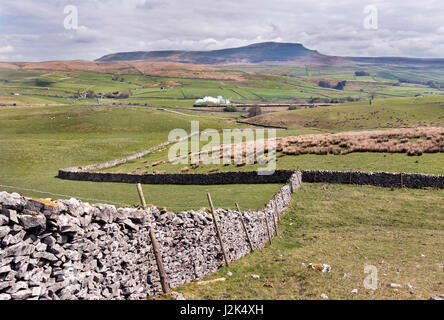 Horton-en-Ribblesdale, UK. 29 avril, 2017. La locomotive à vapeur qui transporte la tornade "Nord Briton' train spécial jusqu'Ribblesdale dans le Yorkshire Dales National Park, en direction de Carlisle, sur la célèbre ligne de chemin de fer Settle-Carlisle, 29 avril 2017. Crédit : John Bentley/Alamy Live News Banque D'Images