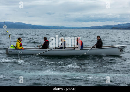 Mer d'Irlande, Royaume-Uni. 29 avril 2017 L'équipe d'aviron de Aberystwyth mens en compétition dans l'ensemble du défi celtique 2017 mer d'Irlande, qui a commencé à Arklow en Irlande avec la ligne d'arrivée à l'entrée du port d'Aberystwyth au Pays de Galles. Les équipes ont ramé environ 96 milles dans la nuit sur la mer d'Irlande. Chaque équipe est composée de 12 rameurs, à tour de rôle par groupes de quatre, tandis qu'une ligne à l'appui de la nervure (voile) et les transfère à d'un yacht d'accompagnement. © Ian Jones/Alamy Live News Banque D'Images