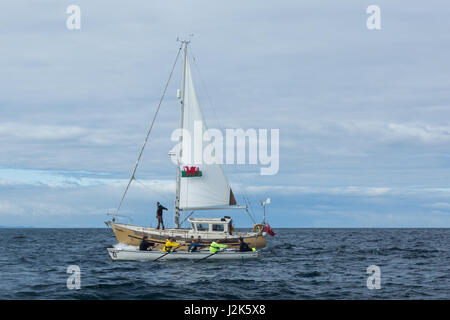 Mer d'Irlande, Royaume-Uni. 29 avril 2017 L'équipe d'aviron de Aberystwyth mens en compétition dans l'ensemble du défi celtique 2017 mer d'Irlande, qui a commencé à Arklow en Irlande avec la ligne d'arrivée à l'entrée du port d'Aberystwyth au Pays de Galles. Les équipes ont ramé environ 96 milles dans la nuit sur la mer d'Irlande. Chaque équipe est composée de 12 rameurs, à tour de rôle par groupes de quatre, tandis qu'une ligne à l'appui de la nervure (voile) et les transfère à d'un yacht d'accompagnement. © Ian Jones/Alamy Live News Banque D'Images